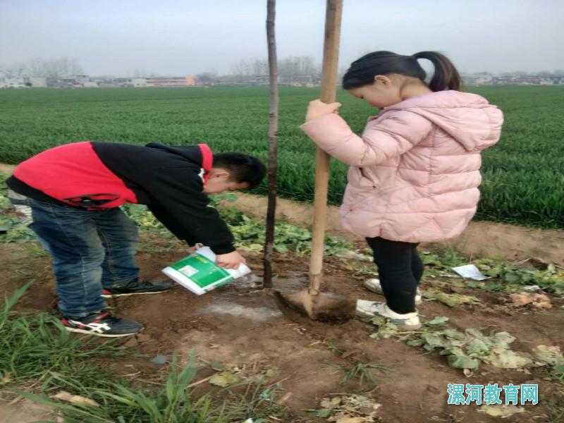 正在植树的栗门张小学学生张君浩,张晴晴兄妹春风拂面,阳光明媚.